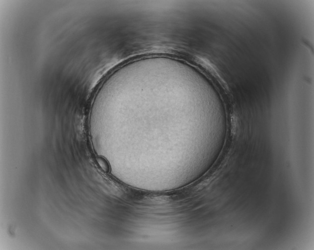 X0000103141260200809051606