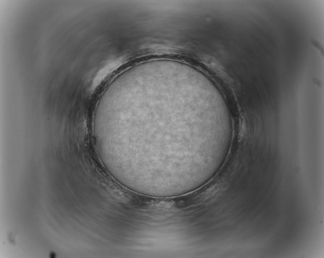 X0000103141261200809051606