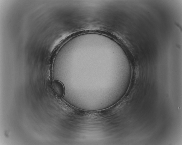 X0000103141262200809051606