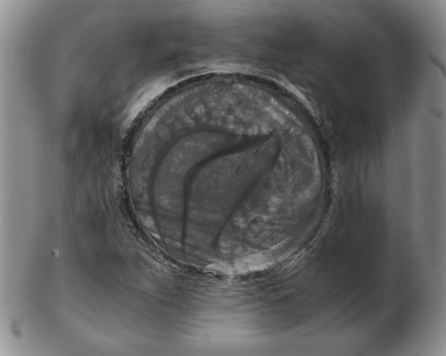 X0000103141263200809051606