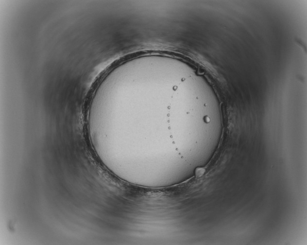 X0000103141264200809051606