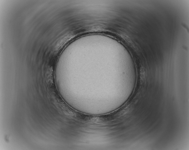 X0000103141265200809051606