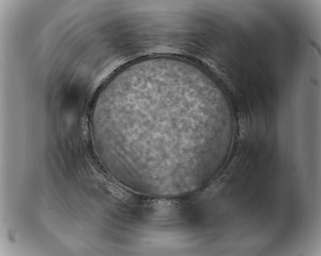 X0000103141266200809051606