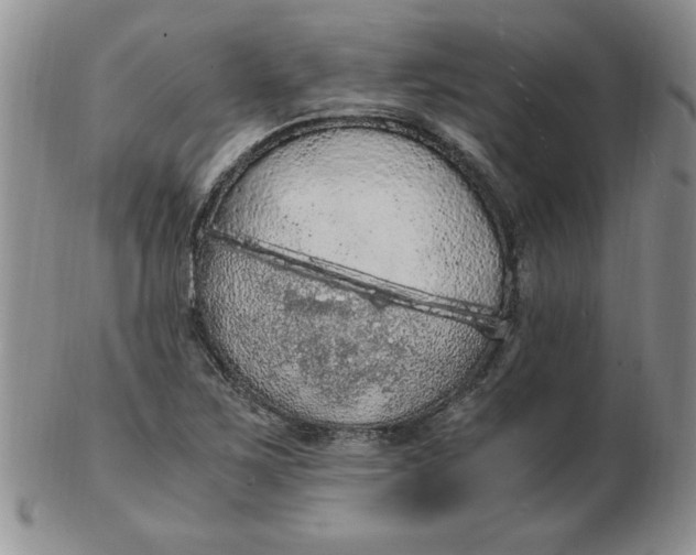 X0000103141267200809051606