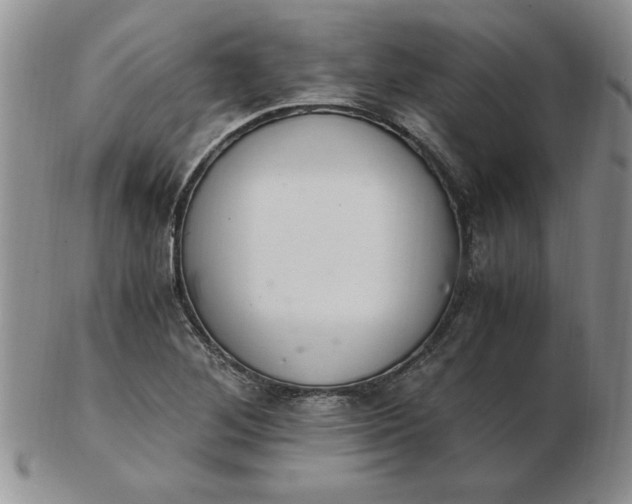 X0000103141268200809051606