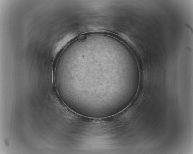 X0000103141269200809051606