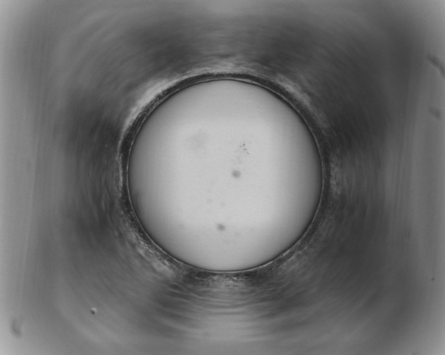 X0000103141270200809051606