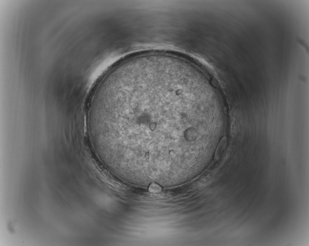 X0000103141271200809051606