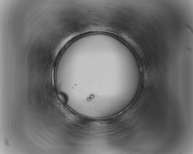 X0000103141272200809051606