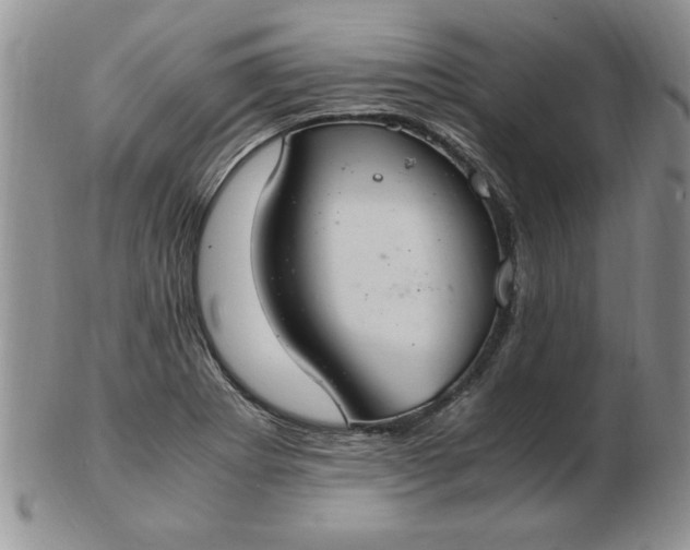 X0000103141273200809051606