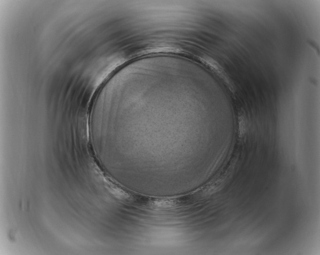 X0000103141274200809051606