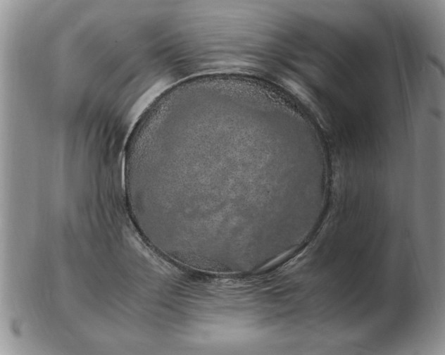 X0000103141275200809051606