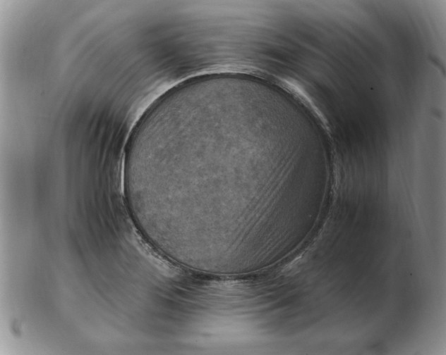 X0000103141276200809051606