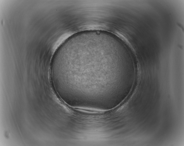 X0000103141277200809051606