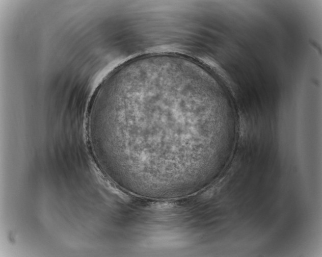 X0000103141278200809051606