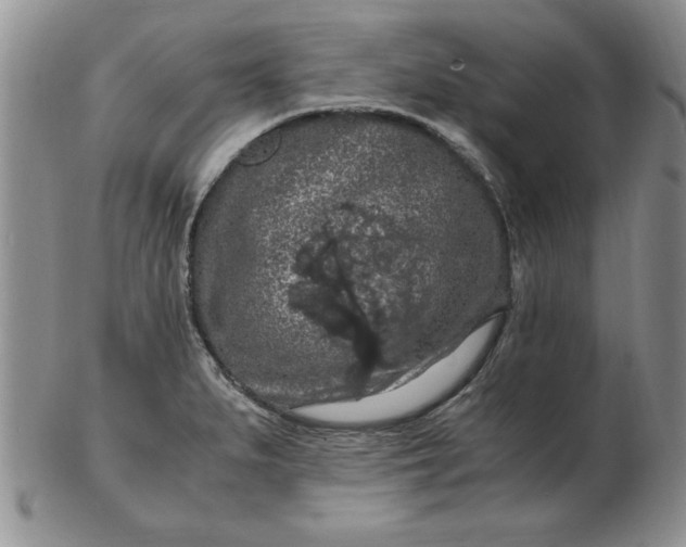 X0000103141279200809051606