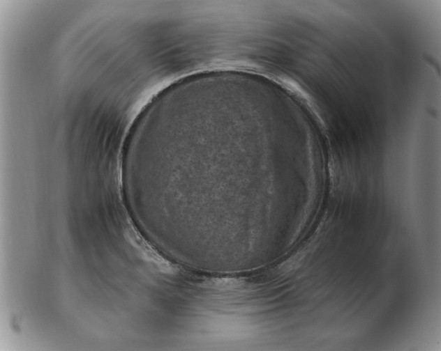 X0000103141280200809051606