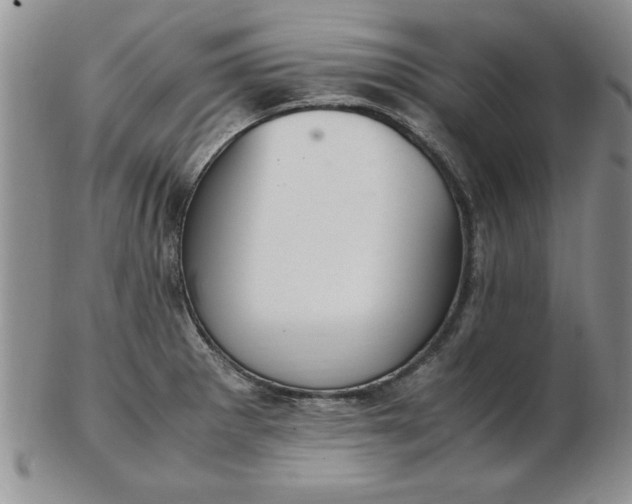 X0000103141281200809051606