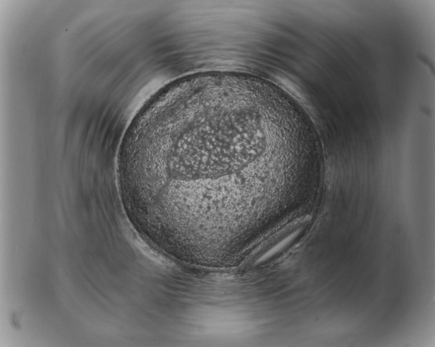 X0000103141283200809051606