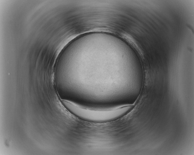 X0000103141284200809051606