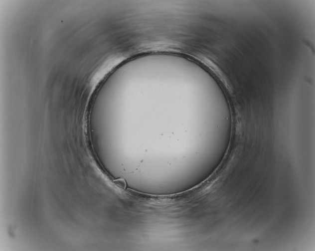 X0000103141285200809051606