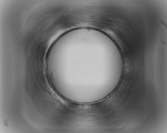 X0000103141286200809051606