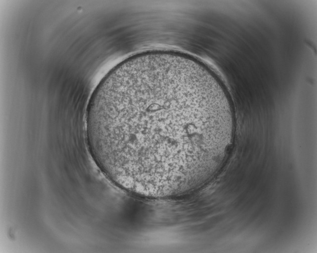 X0000103141287200809051606