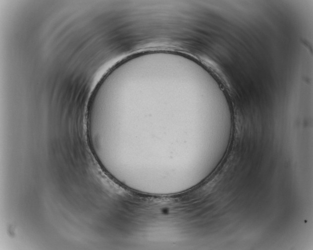 X0000103141288200809051606