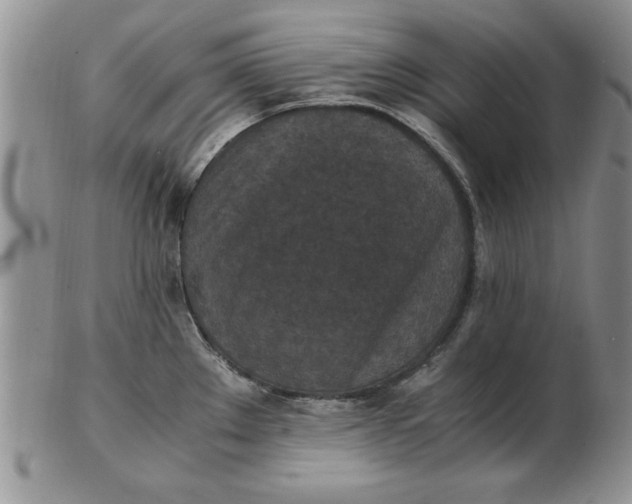 X0000103141289200809051606