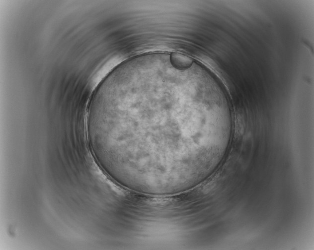 X0000103141290200809051606