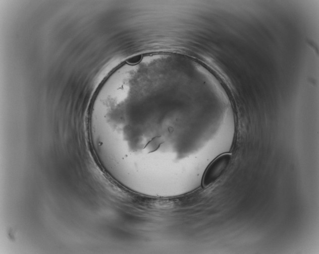 X0000103141291200809051605