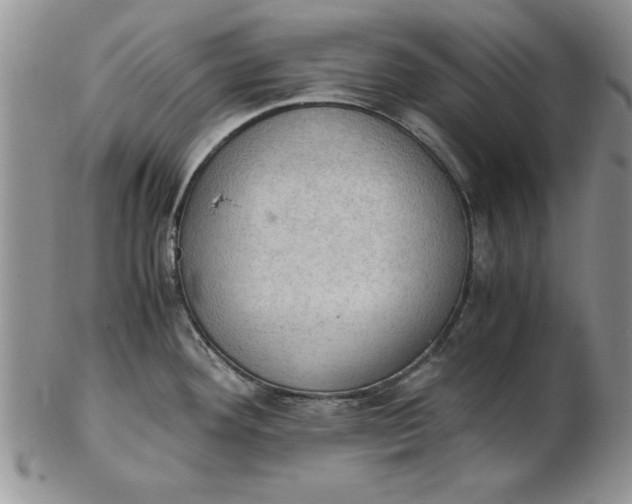 X0000103141292200809051605