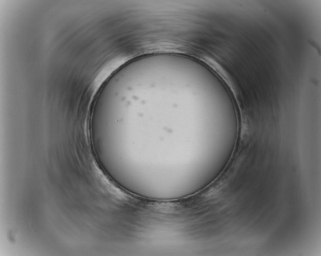 X0000103141293200809051605