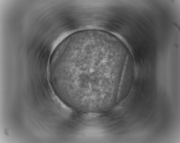 X0000103141294200809051605