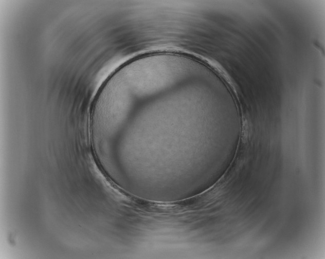 X0000103141295200809051605