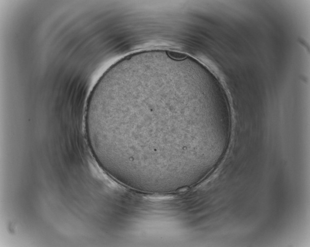 X0000103141296200809051605