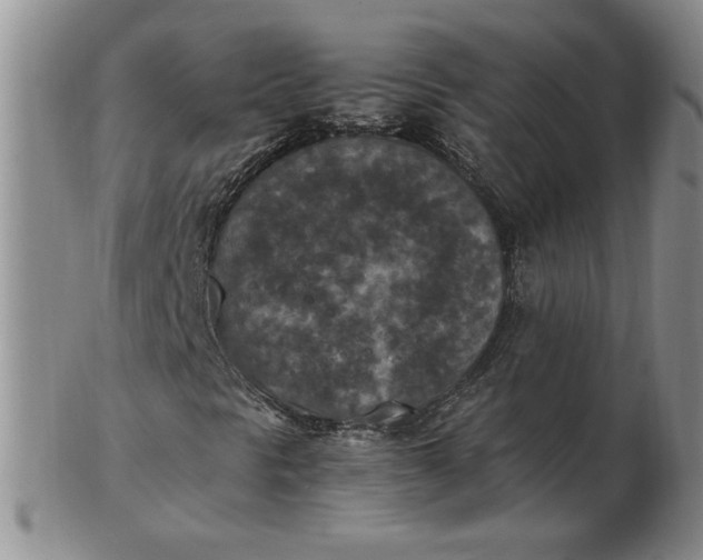 X0000103141297200809051605