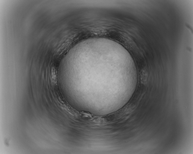 X0000103141298200809051605