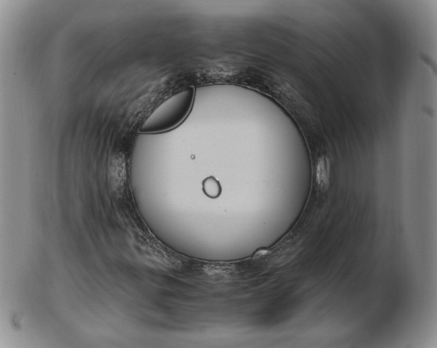 X0000103141299200809051605