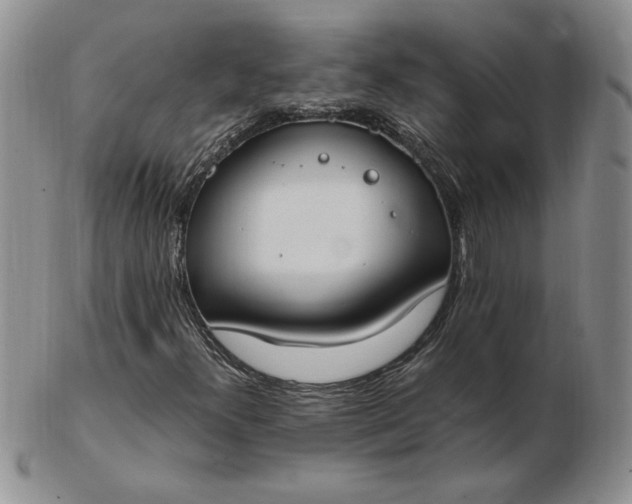 X0000103141300200809051605