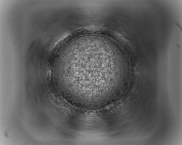 X0000103141302200809051605