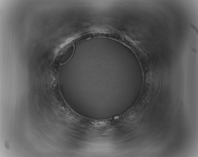 X0000103141303200809051605