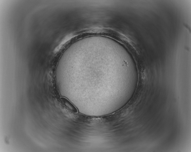 X0000103141304200809051605