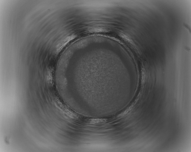 X0000103141305200809051605