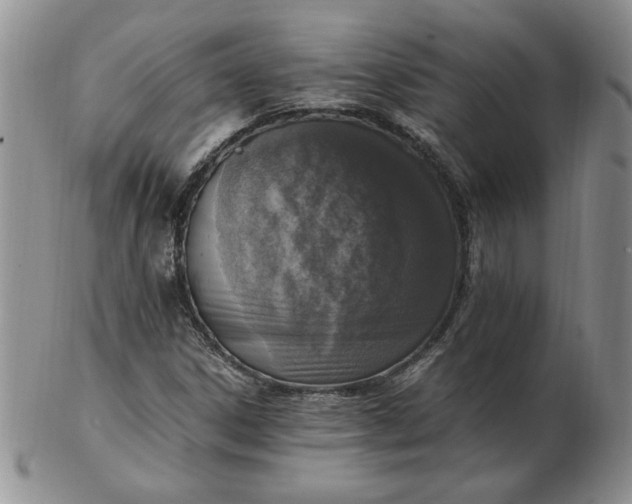 X0000103141306200809051605