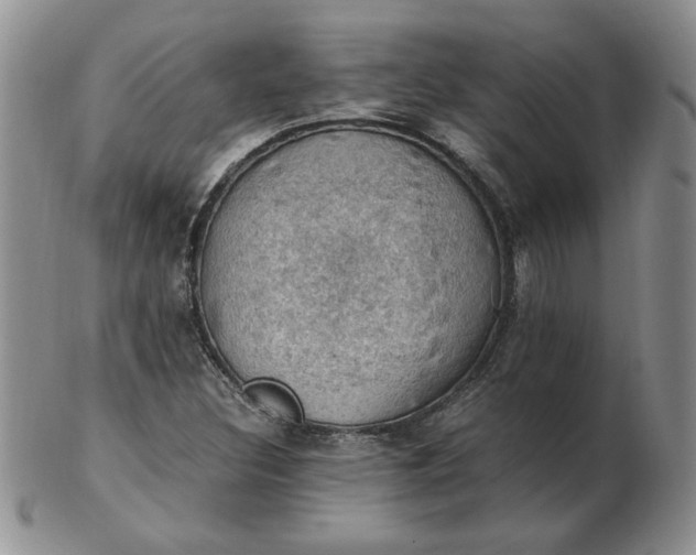 X0000103141308200809051605