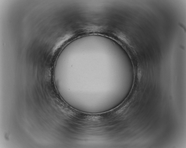 X0000103141309200809051605