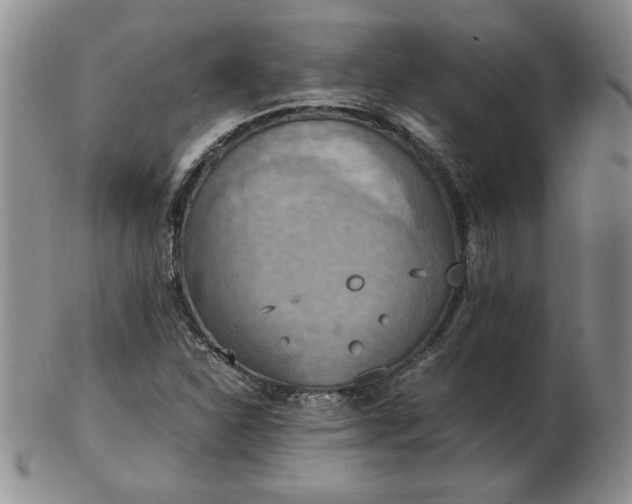 X0000103141310200809051605