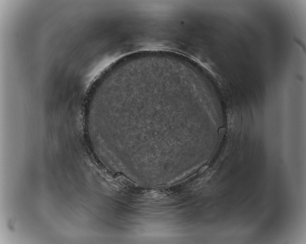 X0000103141311200809051605