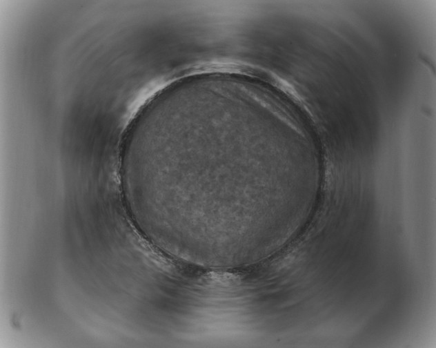 X0000103141312200809051605